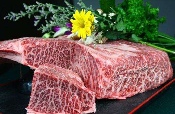 冷凍牛肉進口報關(guān)公司要具備什么資質(zhì)