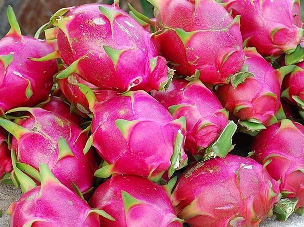 看一看火龍果進(jìn)口清關(guān)的那些事兒 看一看火龍果進(jìn)口清關(guān)的那些事兒