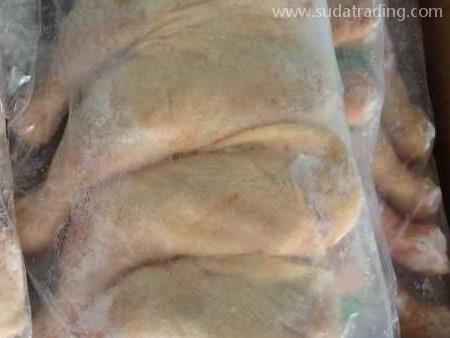 禽類產(chǎn)品東莞進(jìn)口代理清關(guān)資料與注意事項(xiàng)