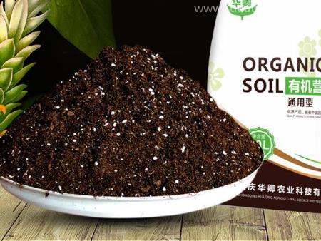 肥料進(jìn)口廣州代理報(bào)關(guān)注意事項(xiàng)與流程