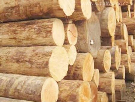 木材東莞沙田進(jìn)口報(bào)關(guān)流程與運(yùn)輸要點(diǎn)