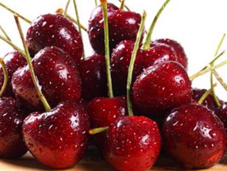 水果廣州碼頭進(jìn)口報(bào)關(guān)檢驗(yàn)檢疫資料