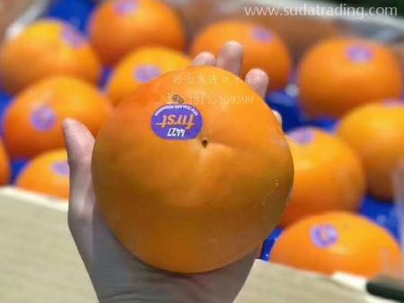 新西蘭柿子空運(yùn)進(jìn)口報(bào)關(guān)資料與申報(bào)要素