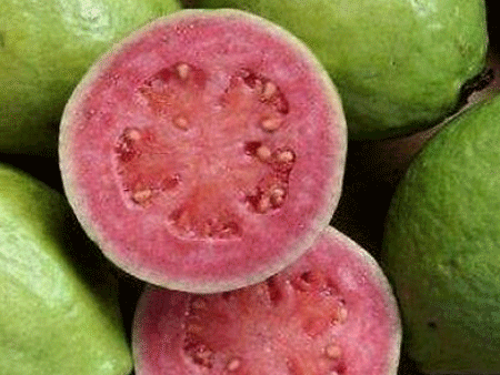 番石榴進(jìn)口深圳機(jī)場報(bào)關(guān)流程