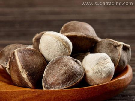 進口新資源食品報關(guān)標簽備案有這些要點！