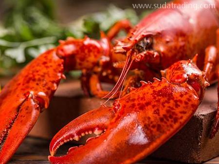 龍蝦進(jìn)口報(bào)關(guān)流程與所需資料都在這！