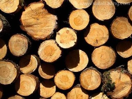 木材進(jìn)口報(bào)關(guān)所需要的單證與大致費(fèi)用