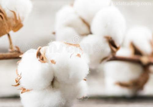 【清關(guān)指南】進(jìn)口棉花清關(guān)前一定要準(zhǔn)備的資料！