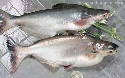 青島巴沙魚進(jìn)口報(bào)關(guān)公司 青島巴沙魚進(jìn)口報(bào)關(guān)公司