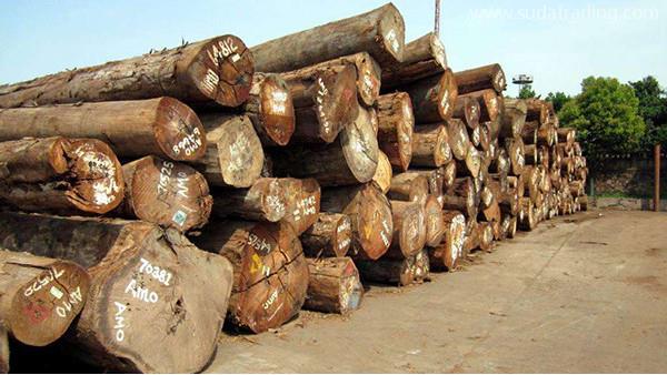 木材進口報關(guān)