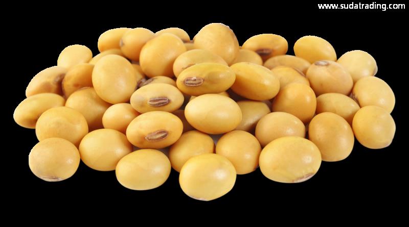 進(jìn)口大豆所需單證有哪些？