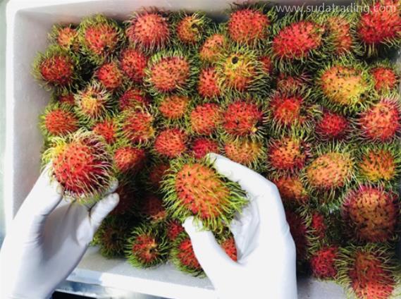 進(jìn)口紅毛丹報關(guān)單證要求