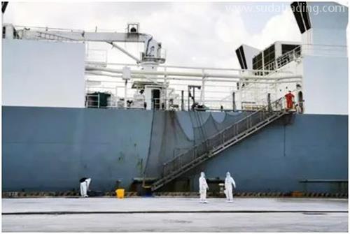 進(jìn)口種牛通關(guān)秘籍