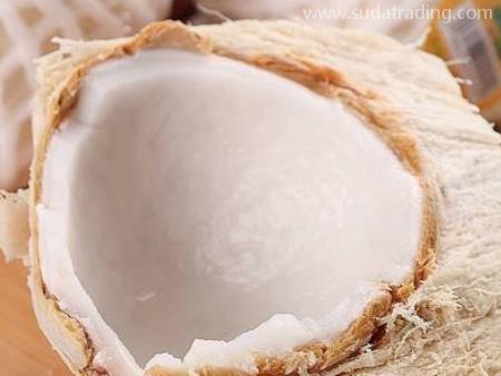 泰國(guó)椰青東莞代理報(bào)關(guān)要點(diǎn)內(nèi)容！