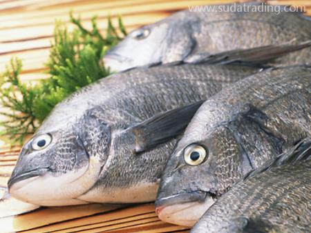 越南水產(chǎn)品廣州進(jìn)口清關(guān)代理需要準(zhǔn)備這些資料！