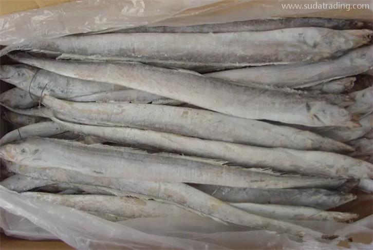 廈門港冷凍魚報關公司帶你了解進口冷凍魚需要的資質(zhì)