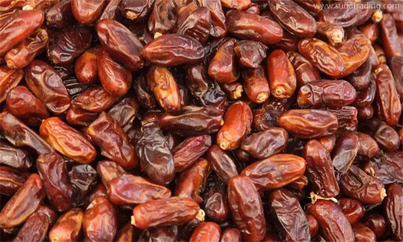 沙特阿拉伯干椰棗進(jìn)口報(bào)關(guān)的注意事項(xiàng)，看就知道了