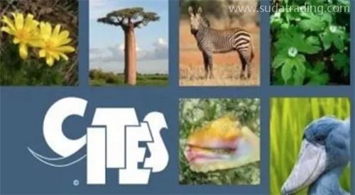 進(jìn)口冷凍牛肉報關(guān)關(guān)稅是多少？