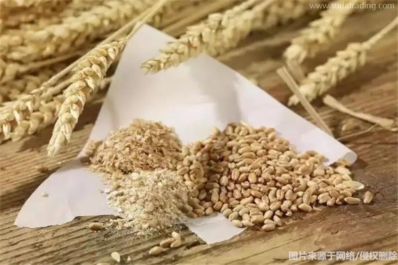 進口哈薩克斯坦麥麩報關流程進口飼料麥麩報關注意事項