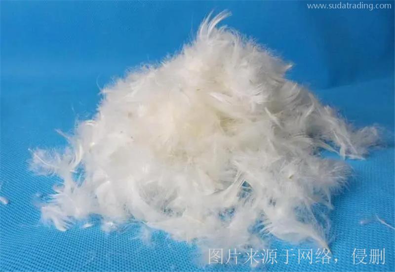 廣西貴港鴨毛進(jìn)口報關(guān)的注意事項(xiàng)有這5點(diǎn)