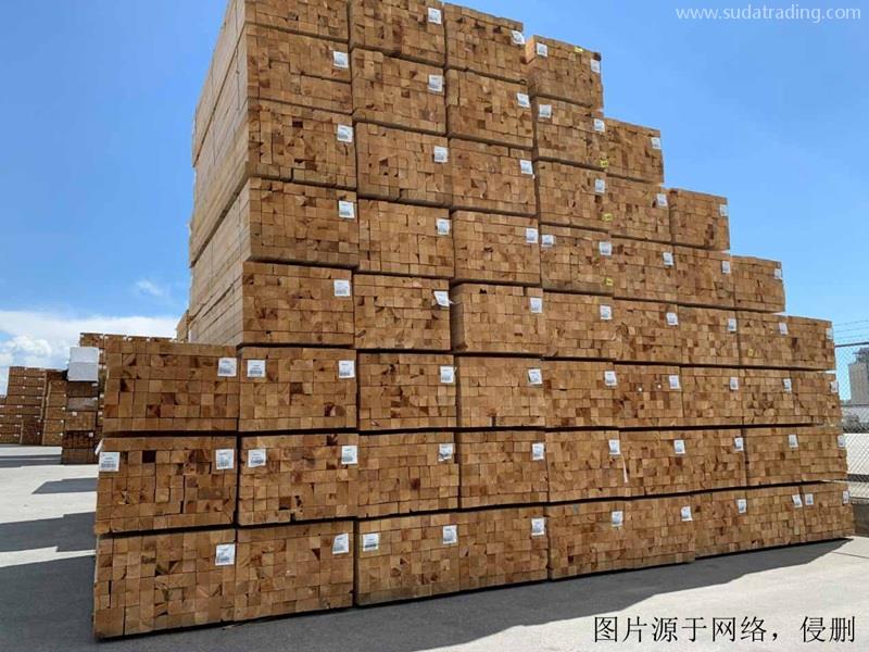 白俄羅斯進口報關(guān)公司哪家好？白俄羅斯木材清關(guān)流程