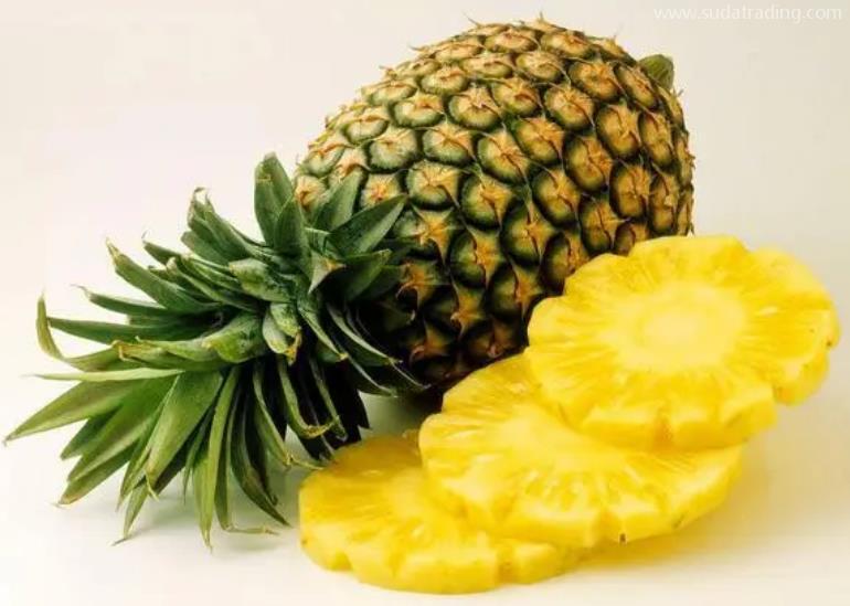 菠蘿進(jìn)口申報要素及稅號了解一下