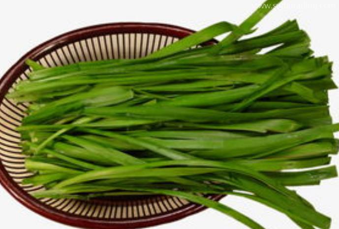 韭菜進(jìn)口報(bào)關(guān)清關(guān)知識(shí)有哪些？